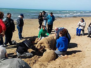 creare-per-socializzare