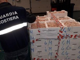 pesce-adulterato-con-calce-edilizia-e-acqua-contaminata