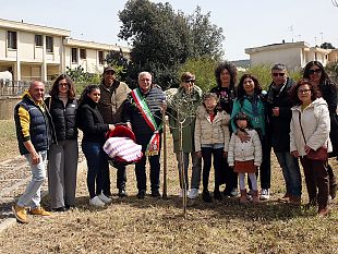 vita-badia-grande-piantato-un-ulivo-simbolo-dintegrazione-e-di-speranza