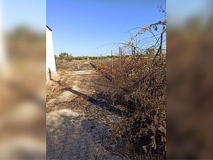 campobellopubblicato-avviso-per-la-locazione-di-2-terreni-confiscati-alla-mafia