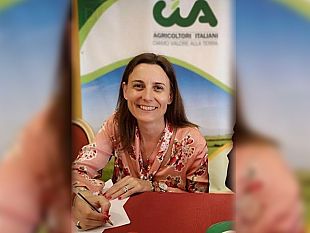 trapani/agricoltura-risoluzione-di-cia-sicilia-su-grosso-aumento-materie-prime