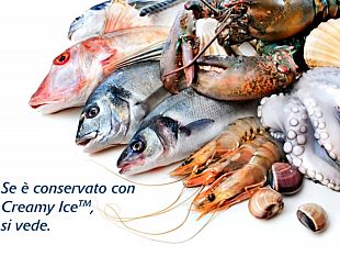 mazara/sciacca-si-presenta-nuova-tecnologia-per-migliore-conservazione-del-pescato