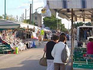 fiera-della-tagliataecco-i-requisiti-per-partecipare