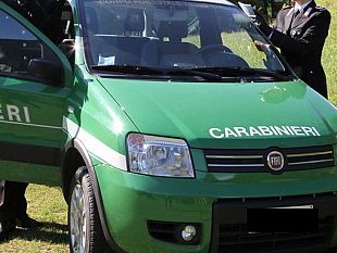 lavori-non-autorizzati-in-alcuni-terreni-attigui-denunciati-i-titolari-di-due-ditte-marsalesi