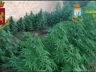 mazara/video-operazione-antidroga-a-mazara-del-vallo