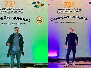 drepanum-aps-conquista-tre-titoli-ai-mondiali-di-ornitologia