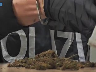operazione-della-polizia-di-stato-1335-arresti-e-oltre-450-kg-di-droga-sequestrati
