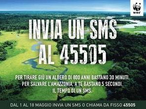 riserva-naturale-lago-preola-e-gorghi-tondi-domenica-festa-delle-oasi-wwf