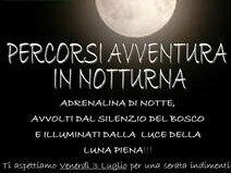 percorsi-avventura-in-notturna-al-parco-naturavventura-finestrelle