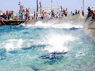 fai-cisl-il-taglio-delle-quote-tonno-in-sicilia-cancella-80-posti-di-lavoro-brucia-700-mila-euro-di-investimento-privato-e-favorisce-le-flotte-di-pescherecci-stranieri