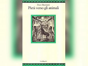 ultime-della-sera-pieta-verso-gli-animali