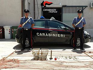 paceco-30enne-denunciato-dai-carabinieri-per-maltrattamento-di-animali