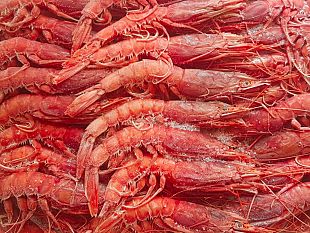 dalla-grecia-alla-sardegna-una-guerra-del-gambero-rosso-contro-i-pescatori-mazaresi-recenti-casi-di-pescherecci-fermati