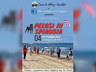 trapani-cani-senza-casa-al-mare-con-i-volontari-oipa