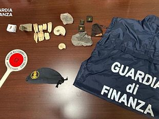 sequestrati-17-fossili-di-60-milioni-di-anni-fa-spedizioni-intercettate-a-punta-raisi