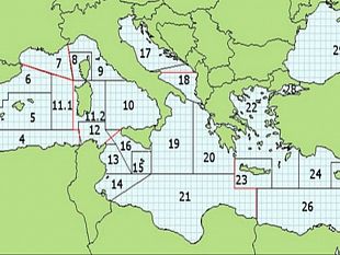 mazara-terza-riunione-del-tavolo-tecnico-comunale-sulla-pesca