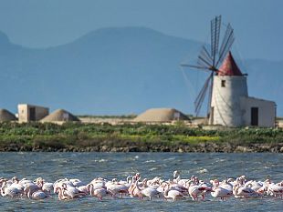 corso-di-educazione-ambientale-alla-riserva-delle-saline-di-trapani-e-paceco