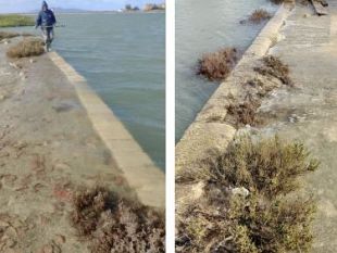 riserva-naturale-orientata-saline-di-trapani-e-paceco-un-equilibrio-fragile-messo-a-dura-prova