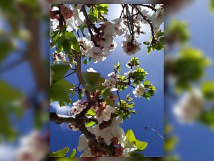 ultime-della-sera-pasquetta