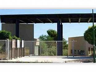 parco-archeologico-di-selinunte-dolcetto-o-scherzetto-riassunto-di-una-visita-da-turista