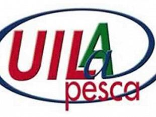 mazara/truffa-sugli-aiuti-europei-a-societa-di-petrosino-la-uila-trapani-plaude-alle-forze-dellordine