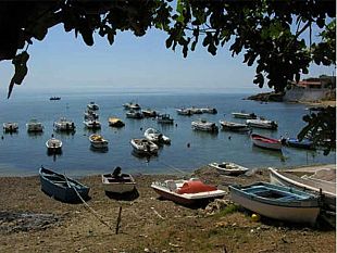 torretta-granitola-stasera-alle-20-30-la-sagra-della-salsiccia