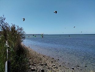 nasce-sicilypedia-portale-turistico-per-la-provincia-di-trapani-lidea-del-marsalese-michele-rallo