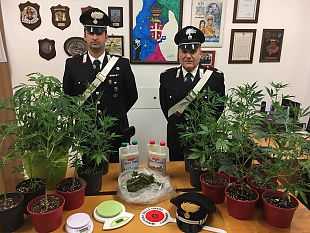 marsala-nascondeva-coltivazione-di-marijuana-in-casa-arrestato-dai-carabinieri-2