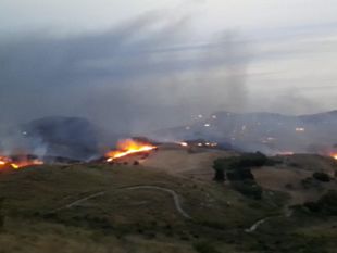 incendio-ad-erice-toscano-immagini-devastanti-mano-criminale