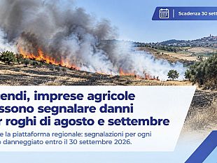 incendi-in-sicilia-le-imprese-agricole-possono-segnalare-i-danni-subiti-tra-agosto-e-settembre-2026