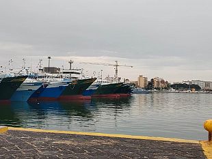 mazara-pesca-il-prezzo-del-gasolio-aumenta-e-quello-del-gambero-crolla