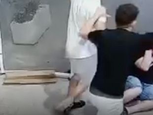 violenze-su-animalipestaggi-incendi-e-scorribandecosa-sta-accadendo-ai-nostri-ragazzi