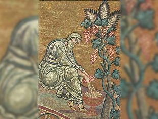 ultime-della-sera-come-noe