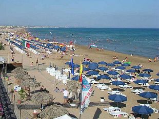 tre-fontane-meduse-e-organismi-marini-urticanti-il-sindaco-castiglione-dispone-analisi-delle-acque