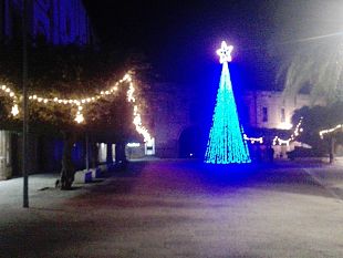 il-presidente-della-pro-loco-filardo-nessuna-spesa-per-la-collettivita-lalbero-e-le-luci-saranno-smontate-a-breve