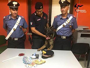trapani-attivita-antidroga-dei-carabinieri-un-arresto