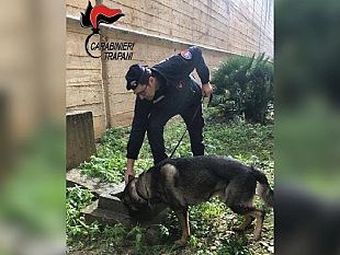 trapani/trapani-controlli-del-territorio-arrestato-un-35enne-per-spaccio