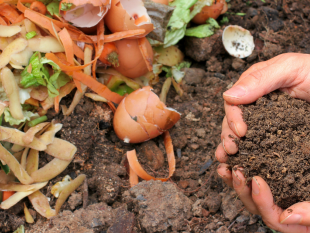 sicilia-48-milioni-per-il-compostaggio-e-i-centri-di-raccolta-rifiuti