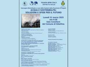 a-gibellina-un-convegno-per-riflettere-sul-valore-e-la-gestione-della-risorsa-idrica-promosso-dalla-fidapa