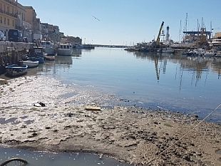 orgoglio-e-futuro-interviene-sulla-vicenda-escavazione-del-porto-canale