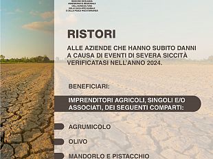 regione-siciliana-ristori-da-35-mln-di-euro-per-aiutare-le-aziende-agricole-che-hanno-subito-danni