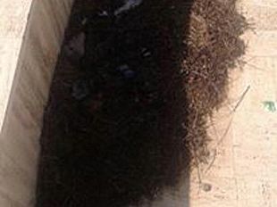 piazza-macello-tra-degrado-e-incivilta-la-stele-di-denise-spenta