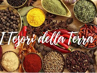 benvenuto-nella-famiglia-di-prima-pagina-ad-i-tesori-della-terra