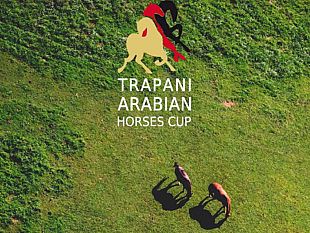 dopo-palermo-un-altro-grande-show-dedicato-ai-cavalli-arabi-in-sicilia