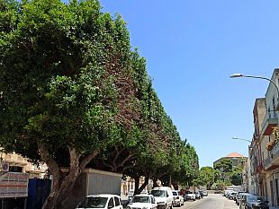 trapani-potature-ultimate-in-via-pepoli-e-lungomare-dante-alighieri