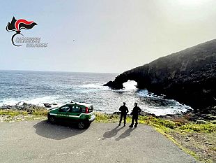 mazara/pantelleria-piante-esotiche-in-area-protetta-un-denunciato