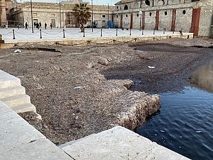 favignana-sollecito-per-la-rimozione-dellinsabbiamento-e-accumulo-di-posidonia