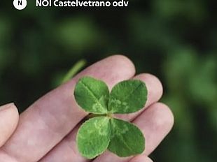 lassociazione-noi-castelvetrano-odv-promuove-una-raccolta-fondi-per-ilenia
