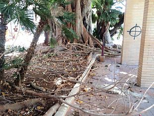 marsala-avviate-operazioni-per-messa-in-sicurezza-di-piazza-del-popolo