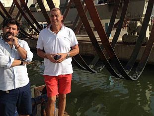 video-tg-bar-del-03-settembre-2015